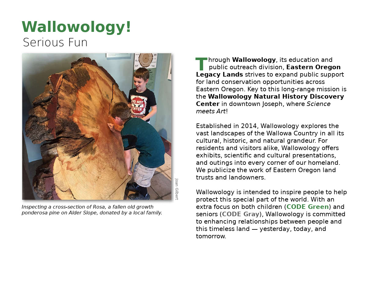 Brochure page 1