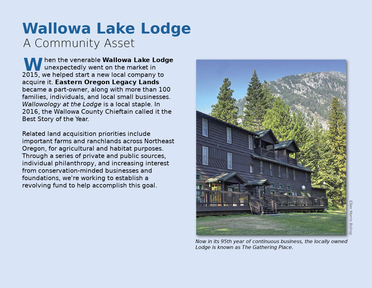 Brochure page 2