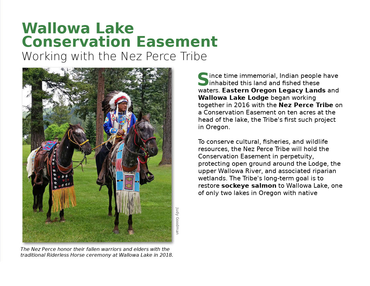 Brochure page 3