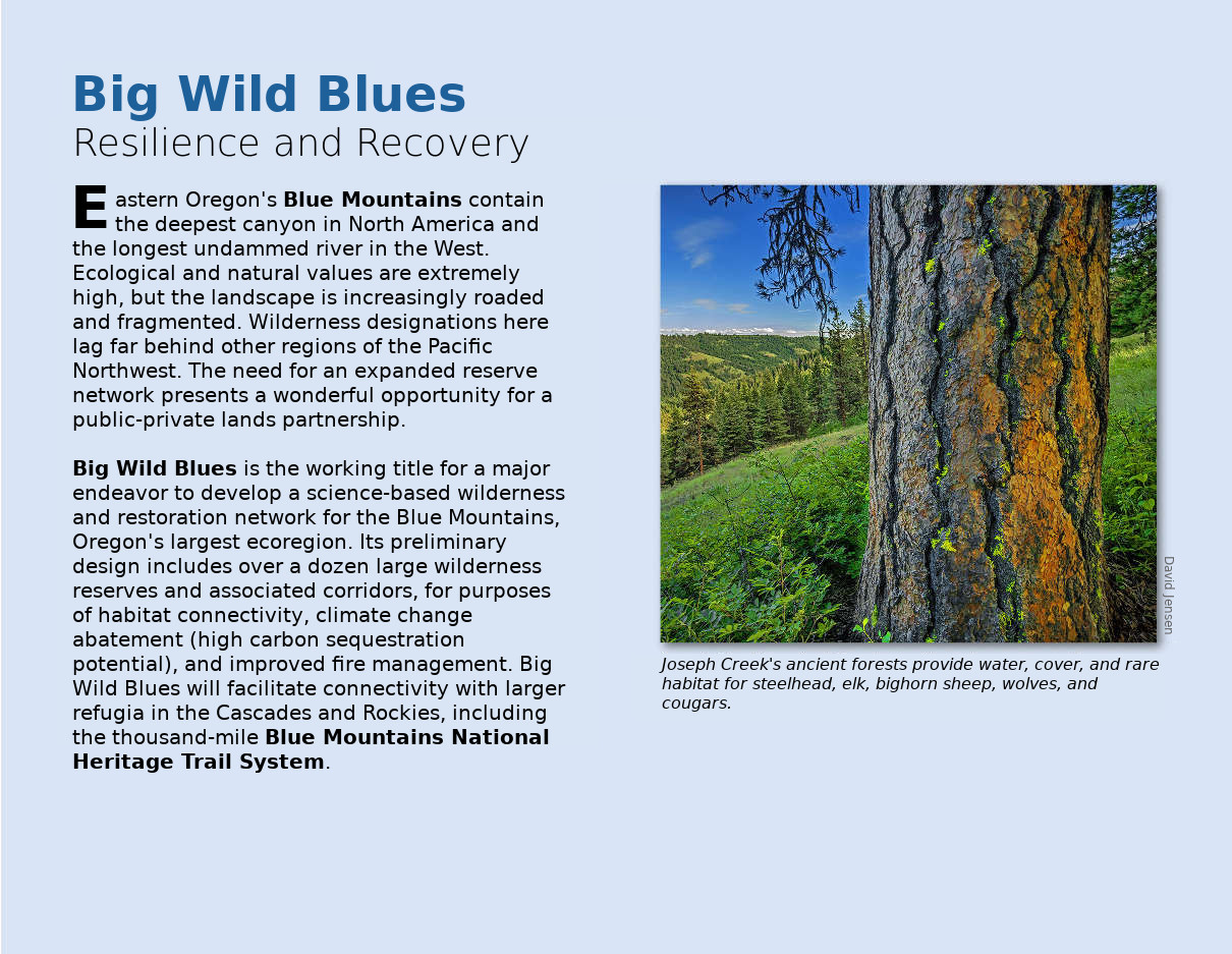 Brochure page 4