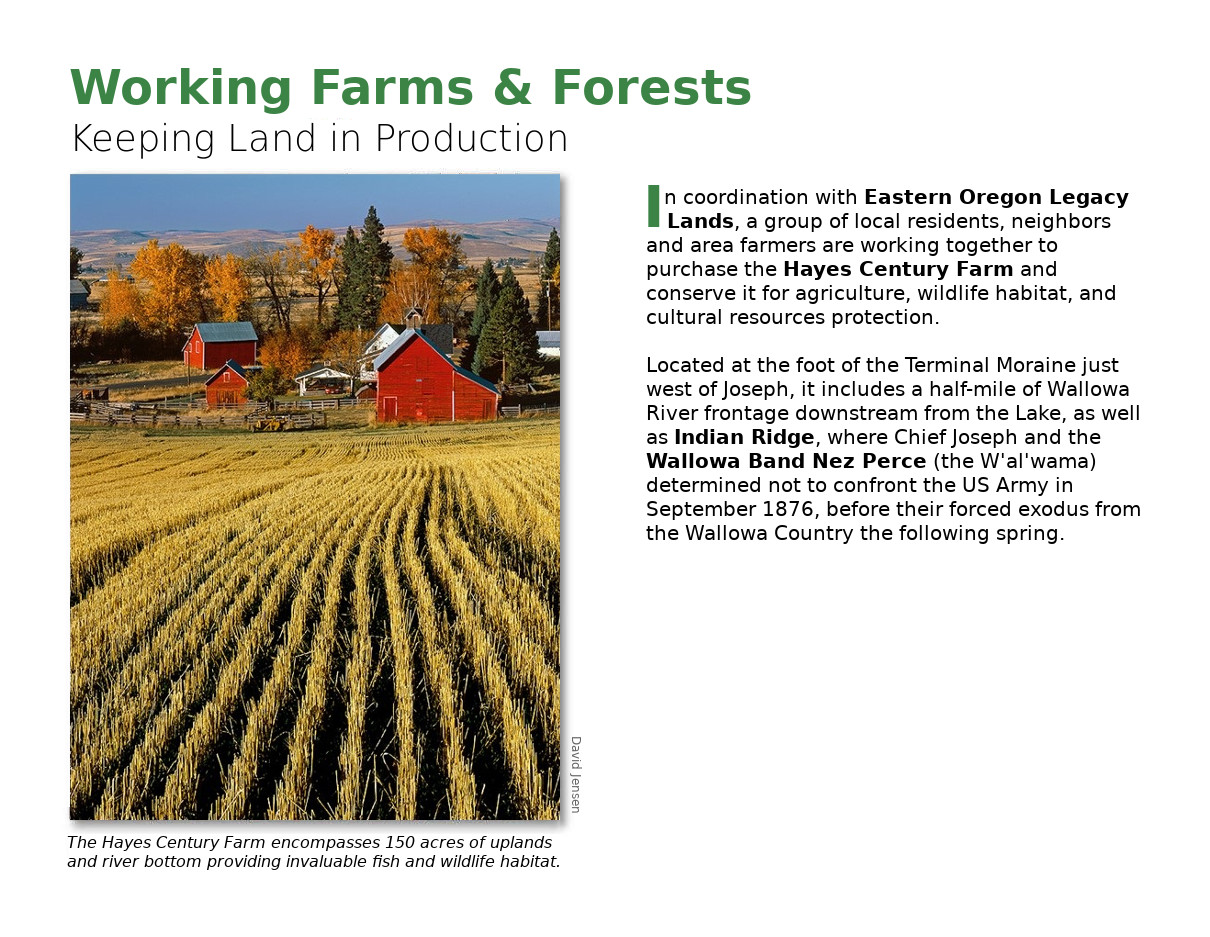 Brochure page 5
