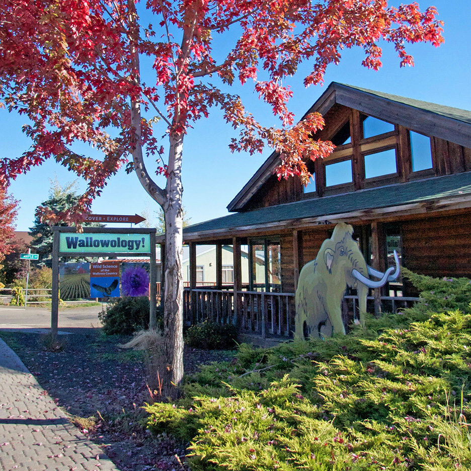 Photo of the back of Wallowa Lake Lodge